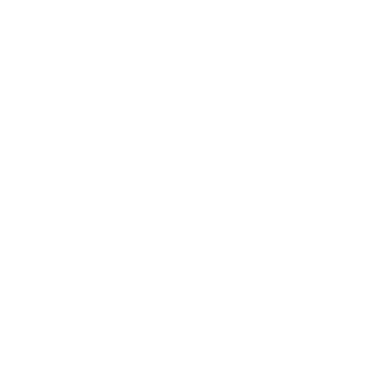 宸揚資科 JWISDOM SYSTEM INC.